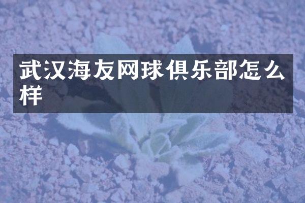 武汉海友网球俱乐部怎么样