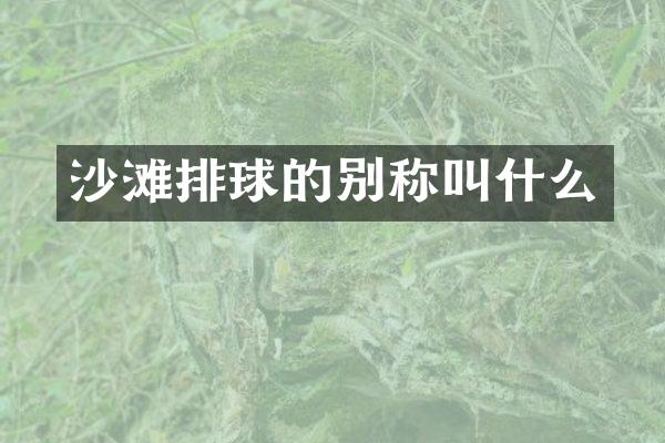 沙滩排球的别称叫什么