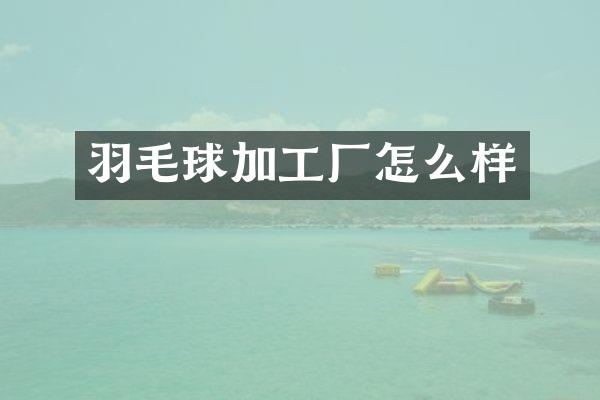 羽毛球加工厂怎么样