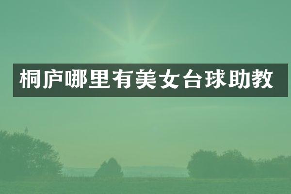 桐庐哪里有台球助教