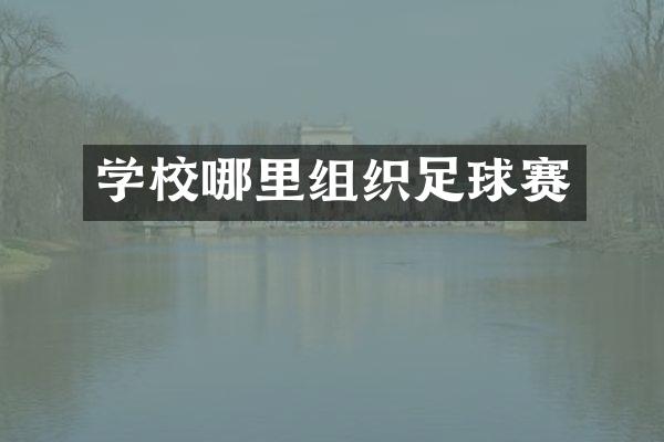 学校哪里组织足球赛