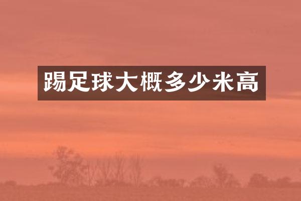 踢足球大概多少米高