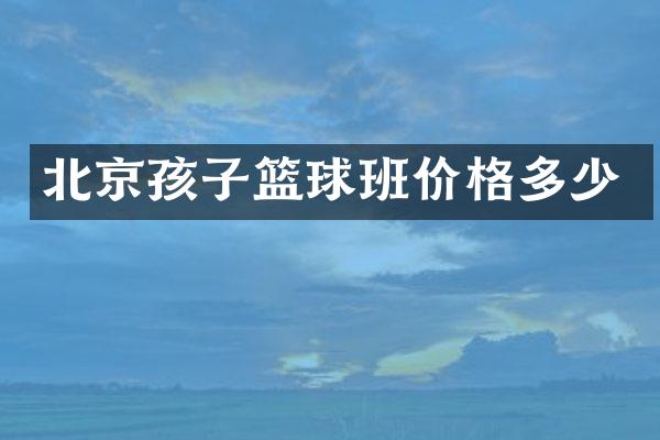 北京孩子篮球班价格多少