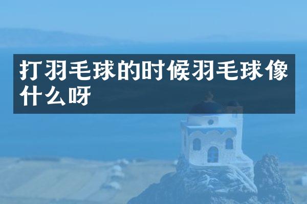打羽毛球的时候羽毛球像什么呀