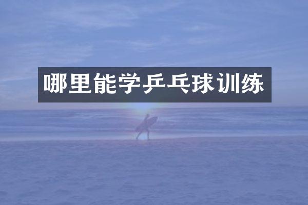 哪里能学乒乓球训练