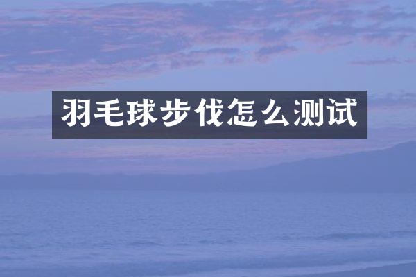 羽毛球步伐怎么测试