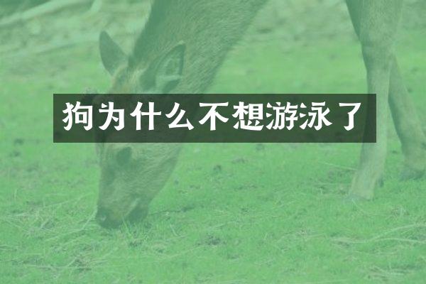 狗为什么不想游泳了