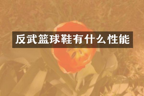 反武篮球鞋有什么性能