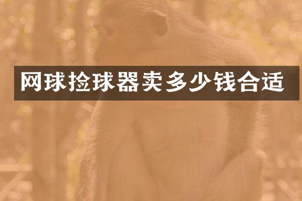网球捡球器卖多少钱合适