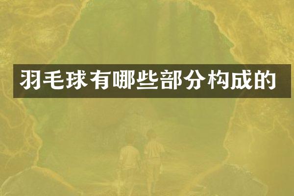 羽毛球有哪些部分构成的