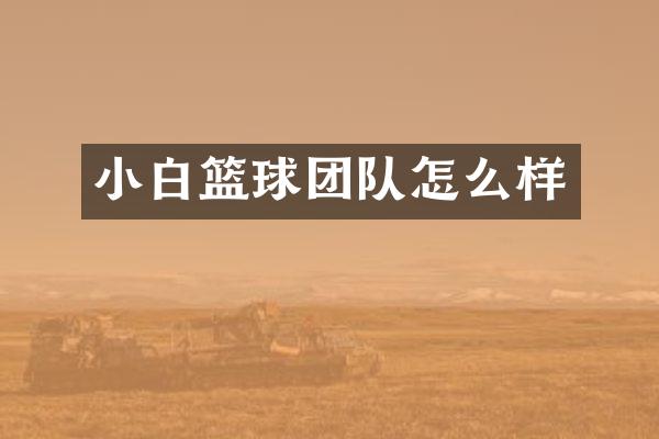 小白篮球团队怎么样