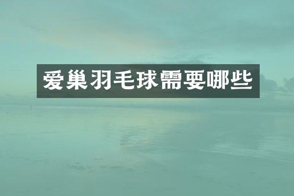 爱巢羽毛球需要哪些
