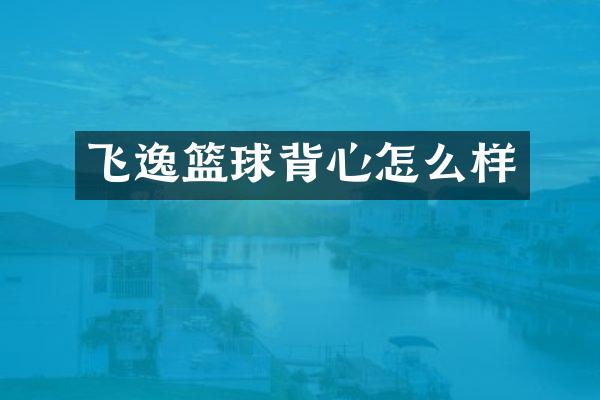 飞逸篮球背心怎么样