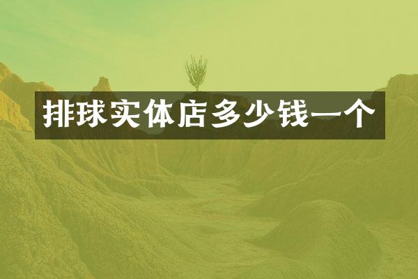 排球实体店多少钱一个