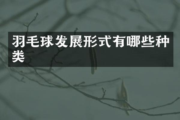 羽毛球发展形式有哪些种类