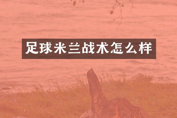 足球米兰战术怎么样
