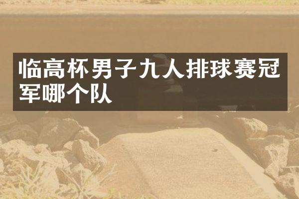 临高杯男子九人排球赛冠军哪个队
