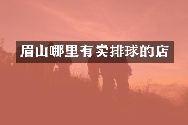 眉山哪里有卖排球的店