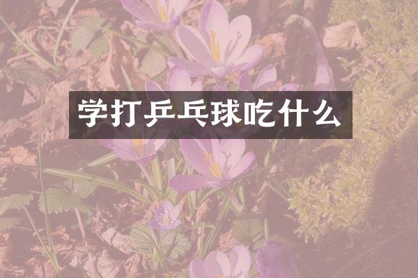 学打乒乓球吃什么