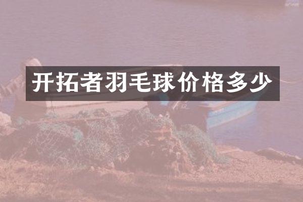开拓者羽毛球价格多少