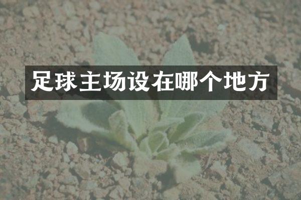足球主场设在哪个地方