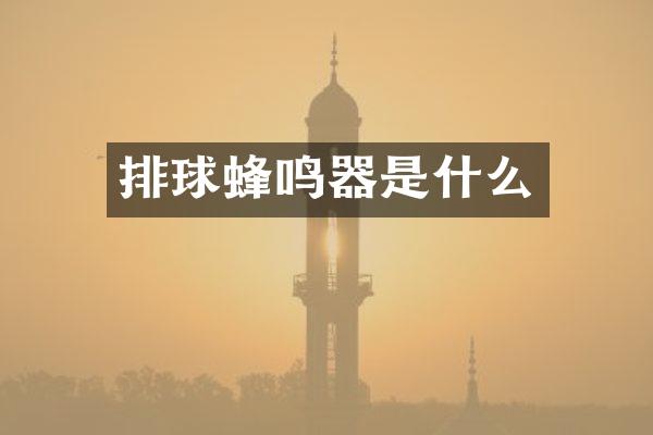 排球蜂鸣器是什么