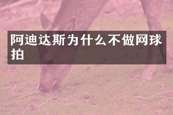 阿迪达斯为什么不做网球拍