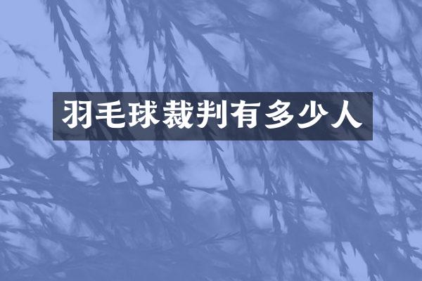 羽毛球裁判有多少人