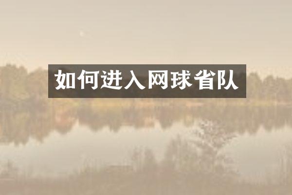 如何进入网球省队