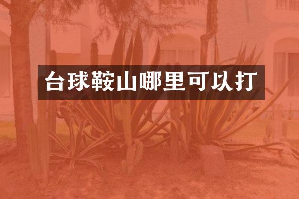 台球鞍山哪里可以打