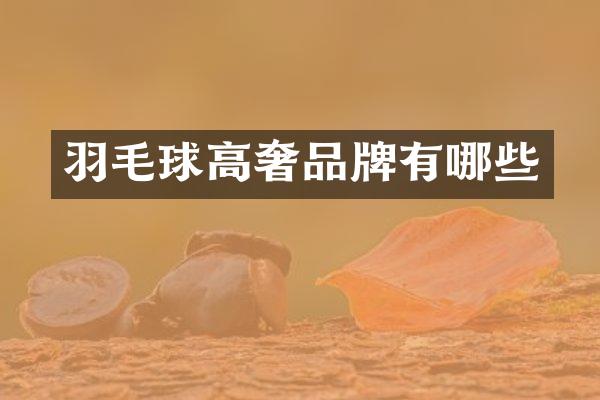 羽毛球高奢品牌有哪些