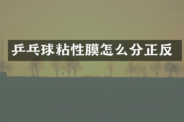 乒乓球粘性膜怎么分正反
