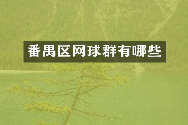 番禺区网球群有哪些