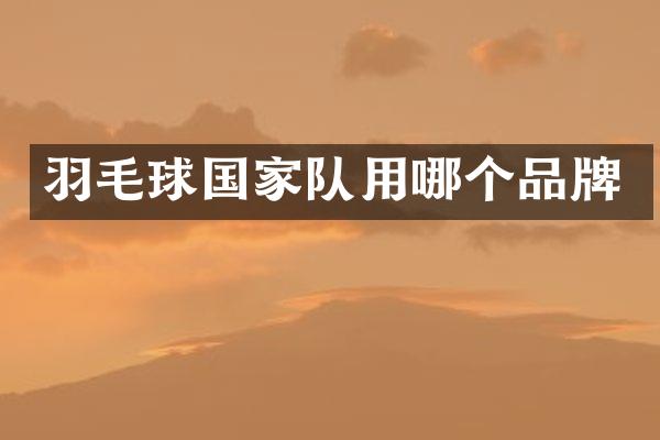羽毛球国家队用哪个品牌