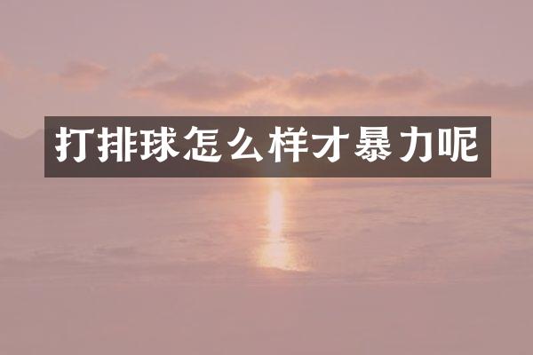 打排球怎么样才暴力呢
