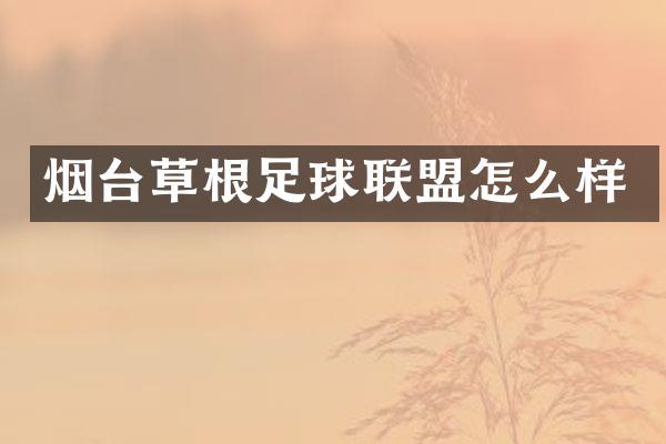 烟台草根足球联盟怎么样