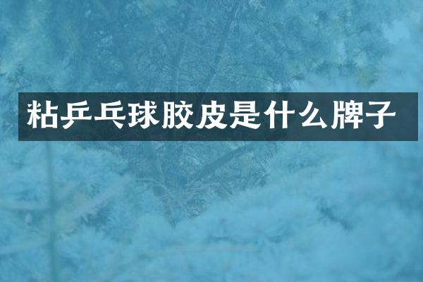 粘乒乓球胶皮是什么牌子