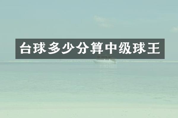 台球多少分算中级球王