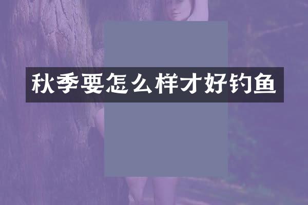 秋季要怎么样才好钓鱼
