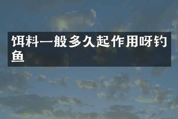 饵料一般多久起作用呀钓鱼
