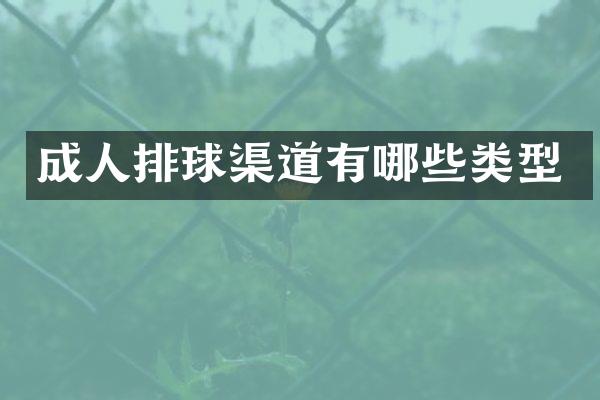 成人排球渠道有哪些类型