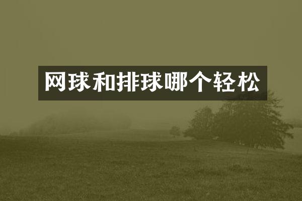 网球和排球哪个轻松