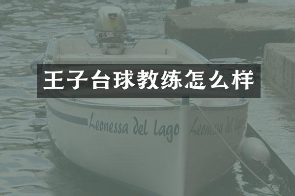 王子台球教练怎么样