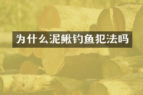 为什么泥鳅钓鱼犯法吗