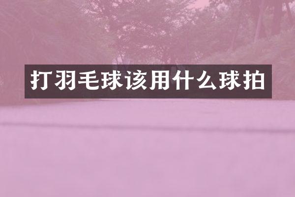 打羽毛球该用什么球拍
