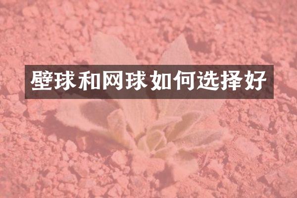 壁球和网球如何选择好