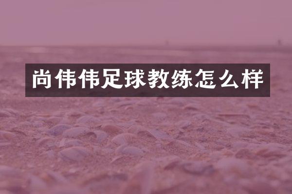尚伟伟足球教练怎么样