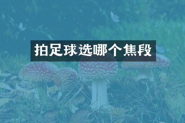 拍足球选哪个焦段