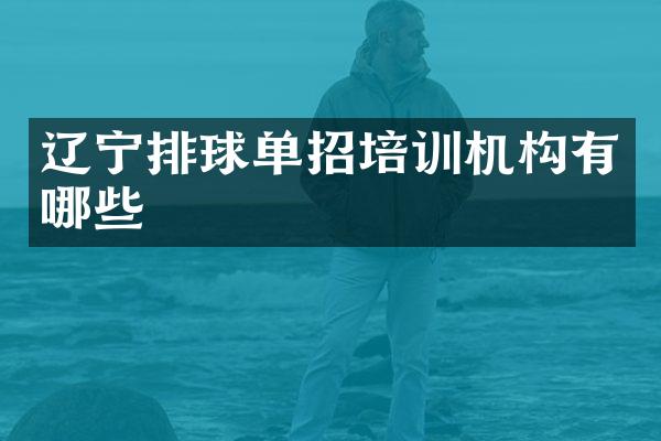 辽宁排球单招培训机构有哪些