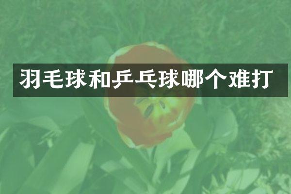 羽毛球和乒乓球哪个难打